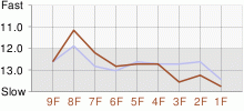 Lap Chart