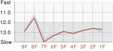 Lap Chart