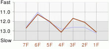 Lap Chart