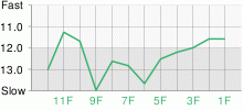 Lap Chart