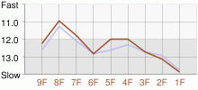 Lap Chart