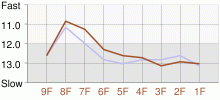 Lap Chart