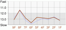 Lap Chart