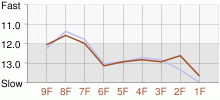 Lap Chart