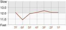 Lap Chart