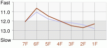 Lap Chart