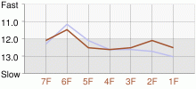 Lap Chart