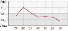 Lap Chart