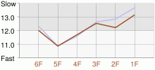 Lap Chart