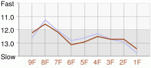 Lap Chart