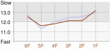 Lap Chart