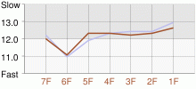 Lap Chart