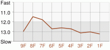 Lap Chart