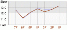 Lap Chart