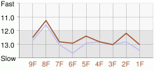 Lap Chart