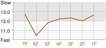 Lap Chart