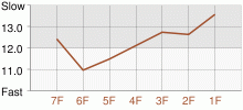 Lap Chart