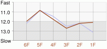 Lap Chart