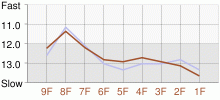 Lap Chart