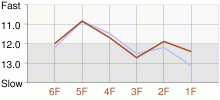 Lap Chart