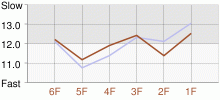 Lap Chart