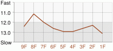 Lap Chart