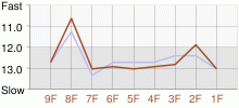 Lap Chart