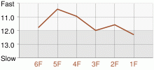 Lap Chart