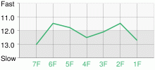 Lap Chart