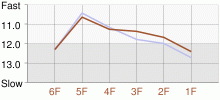 Lap Chart