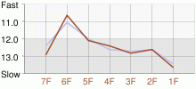 Lap Chart