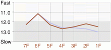 Lap Chart