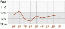 Lap Chart