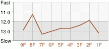 Lap Chart