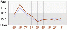 Lap Chart