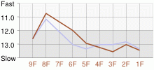 Lap Chart