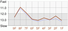 Lap Chart