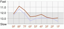 Lap Chart