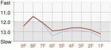 Lap Chart