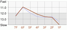 Lap Chart