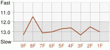 Lap Chart