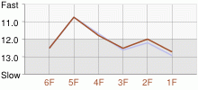 Lap Chart