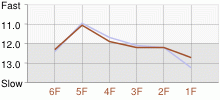 Lap Chart