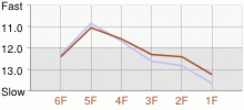 Lap Chart