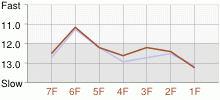 Lap Chart