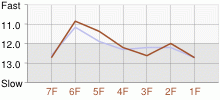 Lap Chart