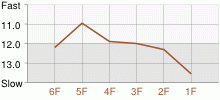 Lap Chart