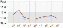 Lap Chart