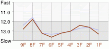 Lap Chart