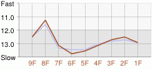 Lap Chart